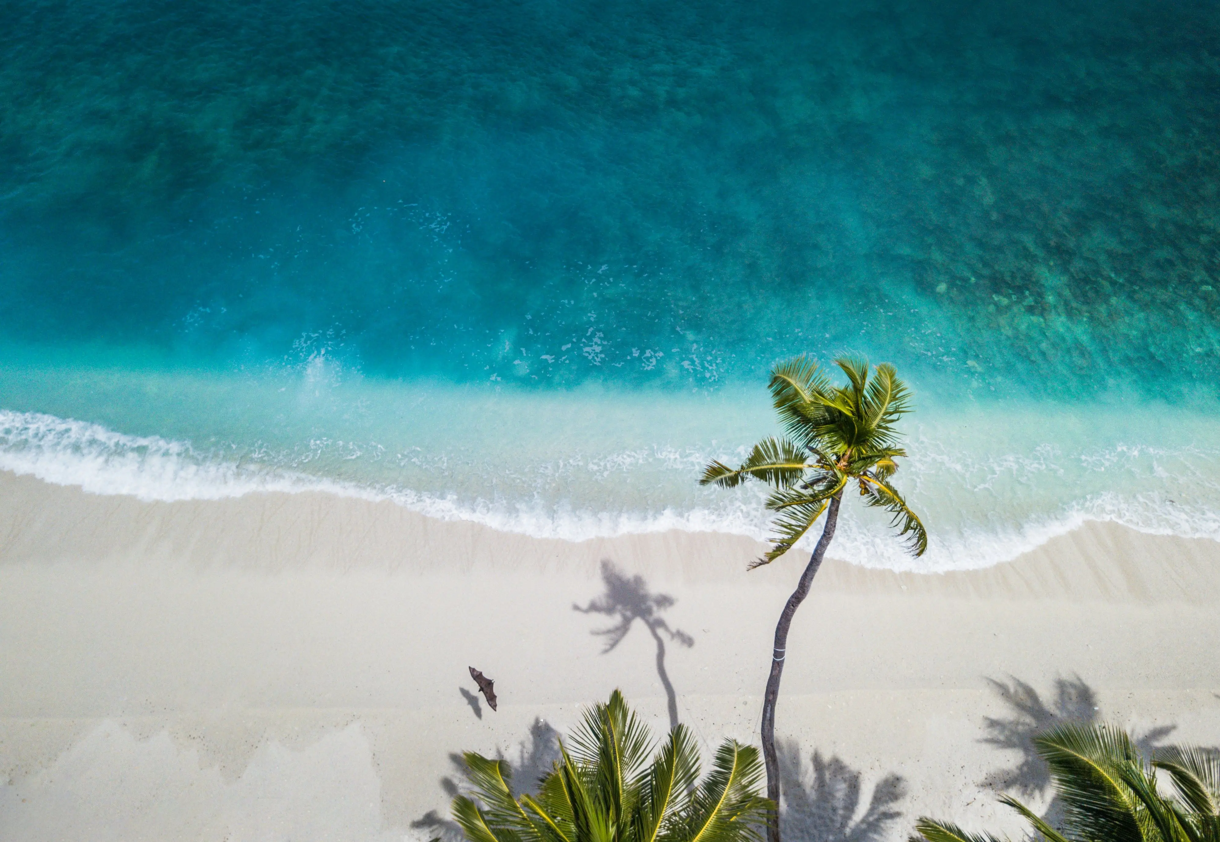 Не тільки неперевершена краса, а й зручність: Tripadvisor визначив найкращі пляжі світу у 2024 році.