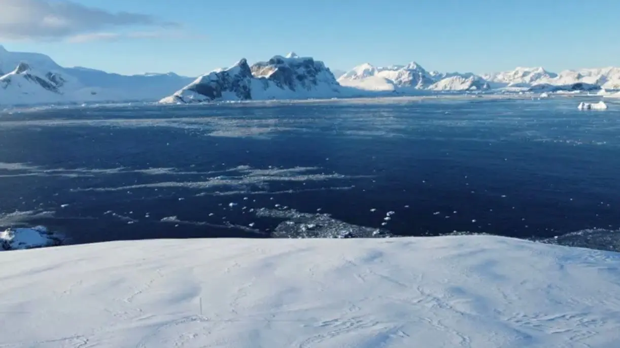 Подорожі на край світу стають все більш популярними: туризм в Антарктиді та унікальні пінгвін-дійки.