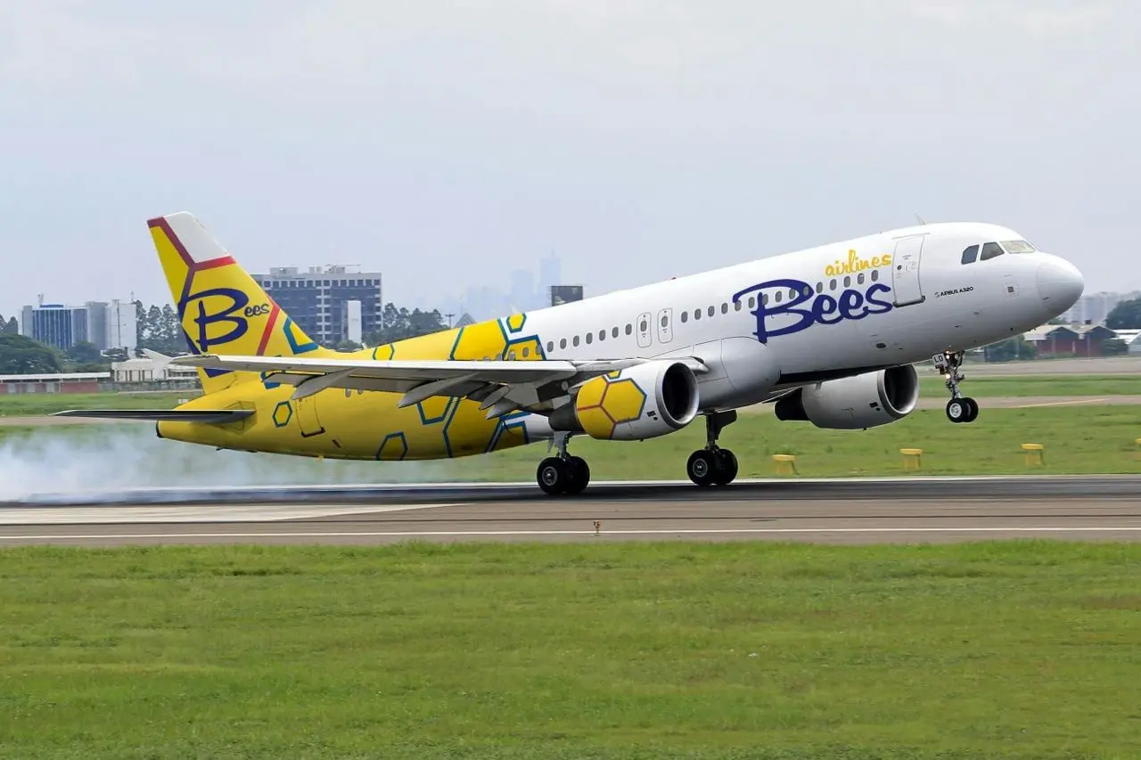 "Українські коріння": з'явилася нова авіакомпанія на ринку авіаперевезень, перший рейс вже успішно відбувся.