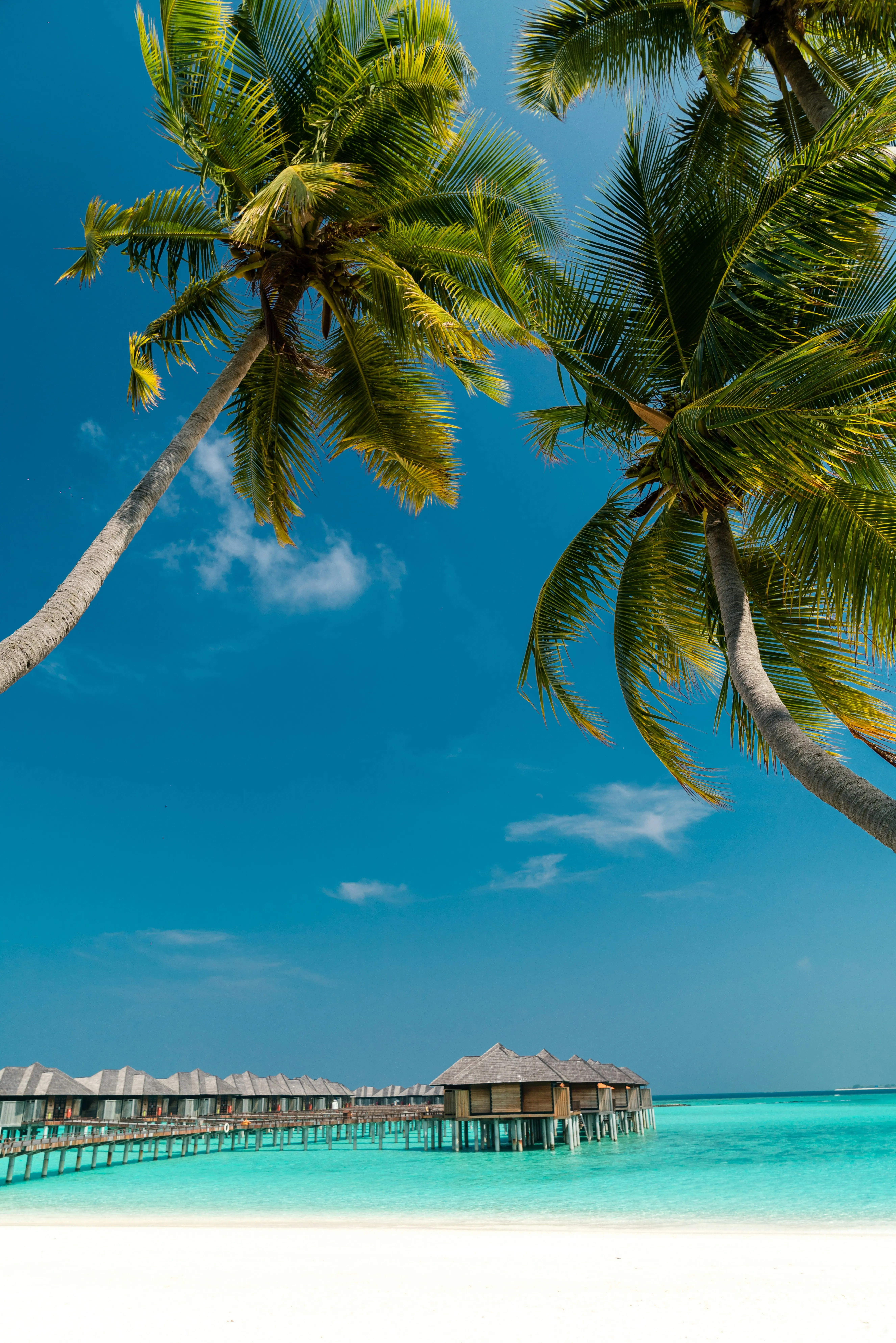Туристка поділилася досвідом, як провести відпустку на Мальдівах за 50 доларів.